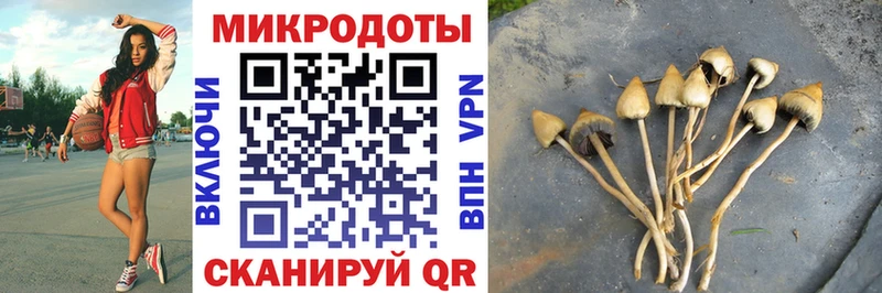 кракен сайт  купить закладку  Губкин  Псилоцибиновые грибы мицелий 